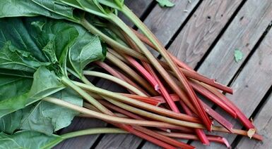 Sorrel, um Parasiten aus dem Körper zu entfernen